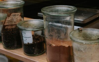 Best Kitchen Organizer for Spices: 8 Picks That Tame Clutter in 2026