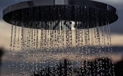 Top 8 Rainfall Shower Heads for Spa-Like Coverage in 2026