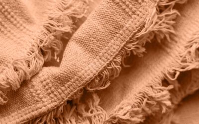 Chanasya vs Battilo Throw Blanket: Cozy Comfort Compared in 2026