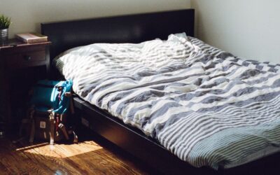 In Depth Review of the Zinus Bed Frame: Rumi Heavy Duty 2026 Insights