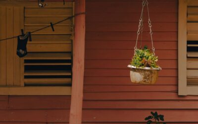 Best Mkono Hanging Planter Alternatives for Every Home in 2026