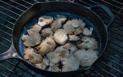 Lodge Cast Iron Skillet Alternatives Worth Buying in 2026