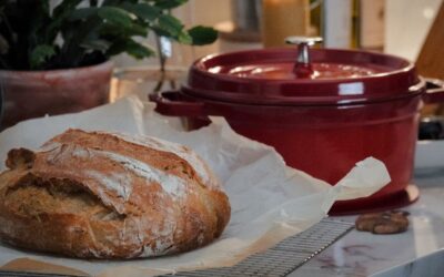 Best Dutch Oven Picks for Bread, Braises, and Everyday Cooking in 2026