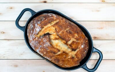 All-Clad vs Calphalon Dutch Oven: Head-to-Head for 2026
