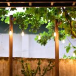 Warm string lights illuminate a backyard with lush foliage, creating a cozy outdoor ambiance.
