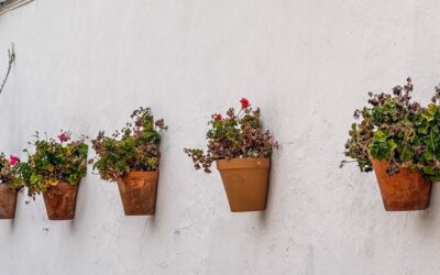 T4U Hanging Planter Review: Self-Watering Style for 2026