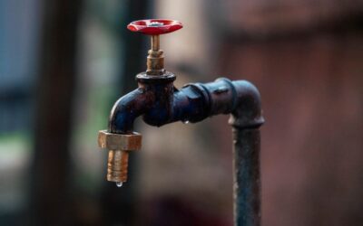 How to Stop a Shower Head From Dripping: 5 Quick Fixes for 2026