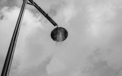 Best Rain Shower Heads for Full-Body Coverage in 2026: 8 Picks