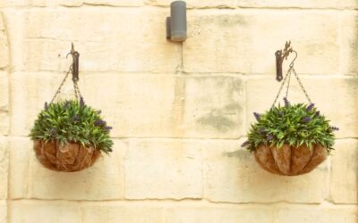 Classic Home and Garden vs Mkono Hanging Planter Compared 2026