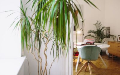 Brightech vs Torchstar Floor Lamp: Key Differences Compared for 2026