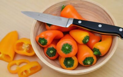 Cuisinart vs Henckels Paring Knife: Top Alternatives Compared 2026