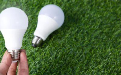 Best Smart Light Bulbs for Color, Control and Comfort in 2026
