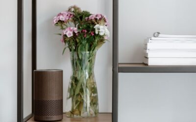 Amazon Echo Dot Max Review: Sound, Hub and Alexa+ Deep Dive for 2026
