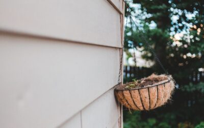 How to Know When to Replace a Hanging Planter: 5 Clear Signs in 2026