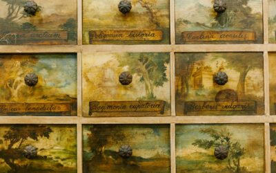 10 Best Chest of Drawers for Bedroom Storage in 2026 Reviewed