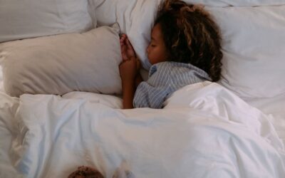 Coop Home Goods Pillow Alternatives: 2 Picks for 2026