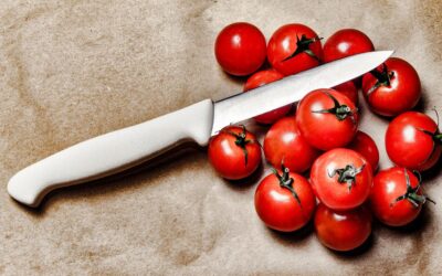 Victorinox vs Cuisinart Knife Set Compared for 2026