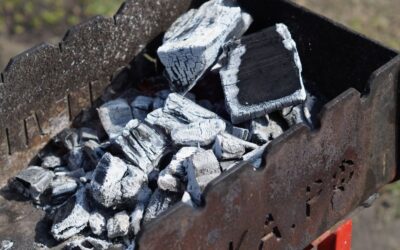 8 Best Charcoal Grill Picks for 2026: Kettle to Barrel Smokers Reviewed