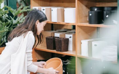 How to Store an Indoor Plant Pot So It Lasts Longer: 2026 Guide