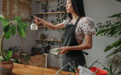 Best Indoor Plants for Homes: 8 Low-Maintenance Picks for 2026