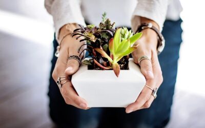 Mkono Indoor Plant Pot Review: UTOPIAHOME 5-Pack Set in 2026