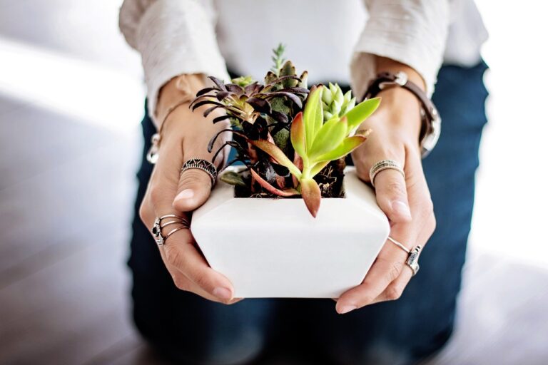Mkono indoor plant pot review