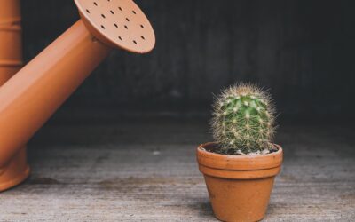 Bloem Ariana 10″ Planter Review: Stylish Self-Watering Pick for 2026