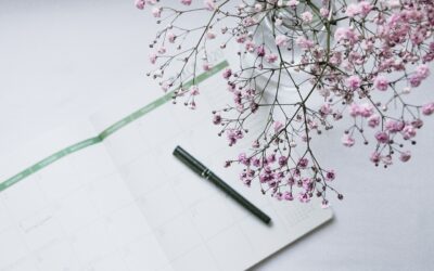 Cheaper Alternatives to Honey-Can-Do Desk Organizer That Save Space in 2026