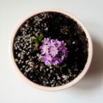 alternatives to Mkono indoor plant pot