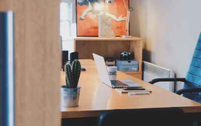 Autonomous or Branch Ergonomic Chair Showdown for 2026