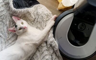 Best Self-Emptying Robot Vacuum for Pet Hair: 10 Hands-Free Picks for 2026